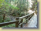 Hiking-Woodside-Oct2011 (21) * 3648 x 2736 * (6.42MB)